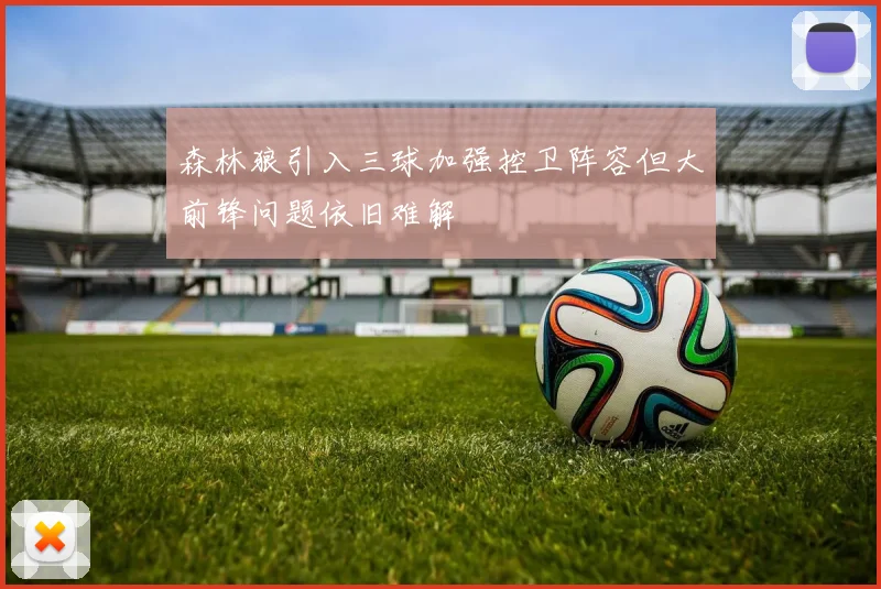 森林狼引入三球加强控卫阵容但大前锋问题依旧难解