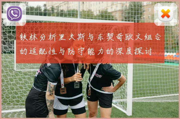 铁林分析里夫斯与东契奇欧文组合的适配性与防守能力的深度探讨